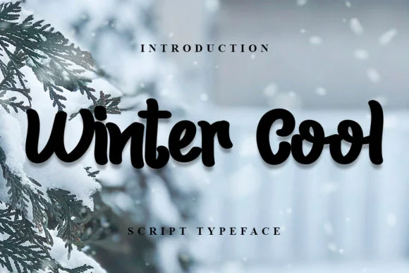 Winter Cool Font by FL Space — Script Handwritten Font