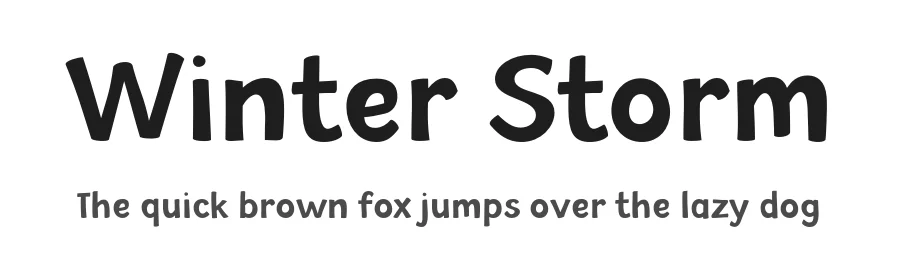 Winter Storm
