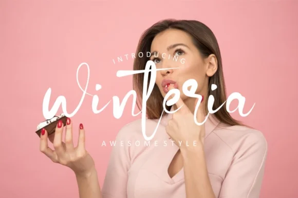 Winteria Font by typelinestudio — Script Handwritten Font