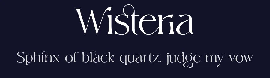 Wisteria by ToniStudio — Serif Font — thumbnail 2