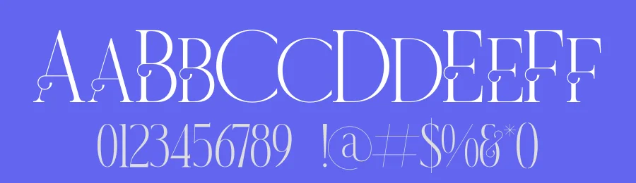 Wistern by Storytype Studio — Decorative Font — thumbnail 3