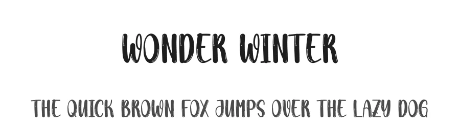 Wonder Winter