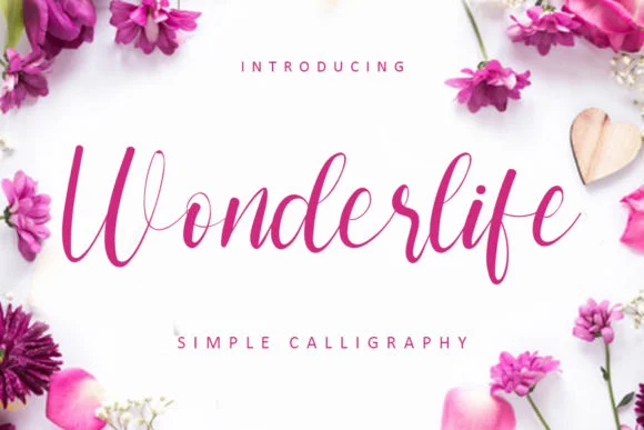 Wonderlife Font by FreshTypeINK — Script Handwritten Font