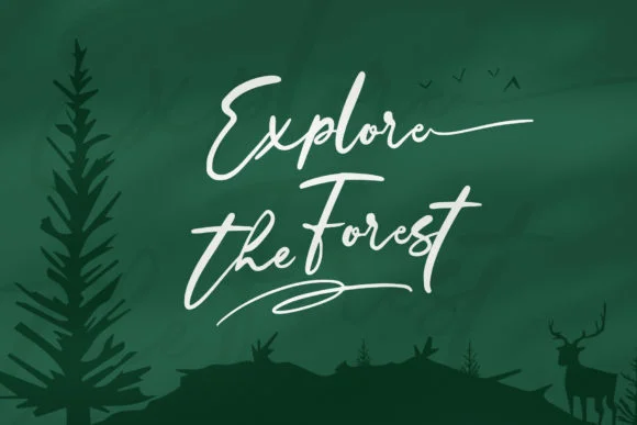 Wondertis Brush Font by Tebaltipis.std — Script Handwritten Font — thumbnail 3