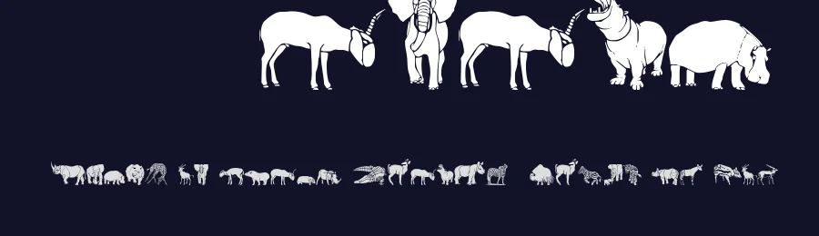WW Safari by Angela Lane — Dingbats Font — thumbnail 2