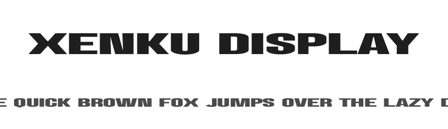 Xenku Display