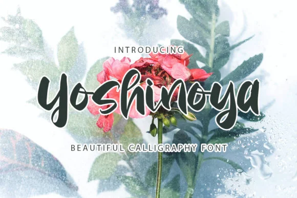 Yoshinoya Font by FL Space — Script Handwritten Font