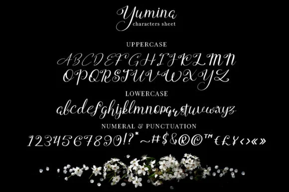 Yumina Font by attypestudio — Script Handwritten Font — thumbnail 7