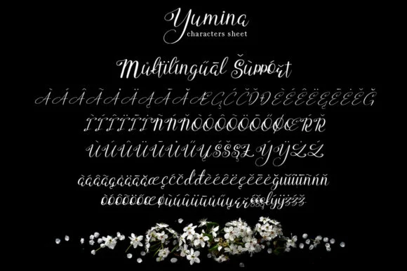 Yumina Font by attypestudio — Script Handwritten Font — thumbnail 8