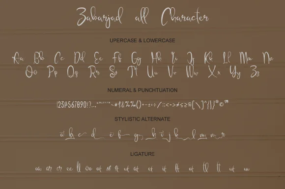 Zabarjad Font by IntrovArtZone — Script Handwritten Font — thumbnail 6
