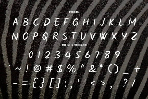 Zebra Font by da_only_aan — Script Handwritten Font — thumbnail 2