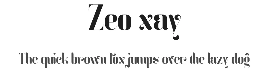 Zeo xay