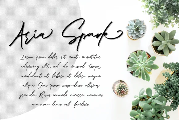 Zincand Font by Maulana Creative — Script Handwritten Font — thumbnail 9