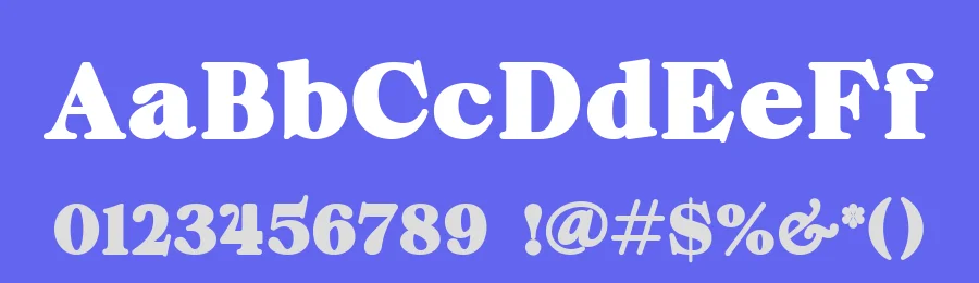 ZT Chintzy Heavy by Zelow Type — Serif Font — thumbnail 3