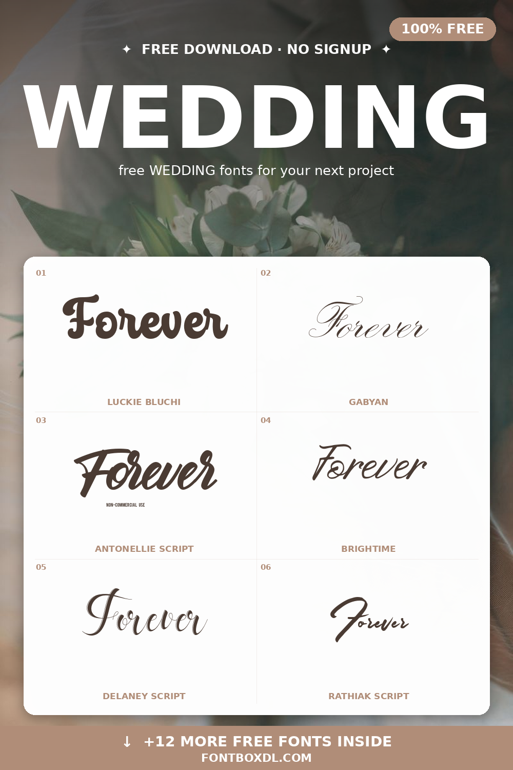 Free Wedding Fonts